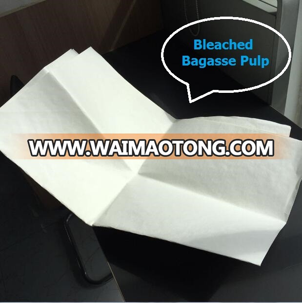 Bleached Bagasse Pulp